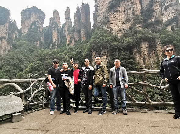 技術團隊